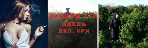 прущие грибы Нефтегорск