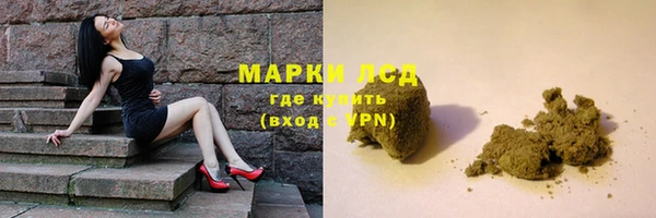прущие грибы Нефтегорск