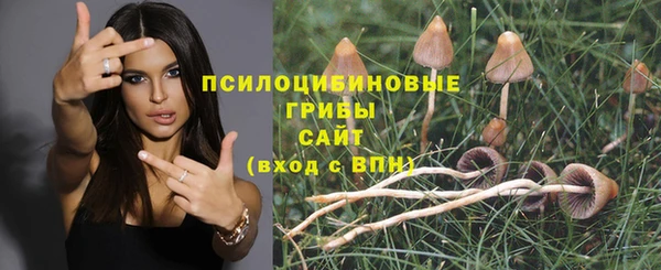 герыч Новодвинск