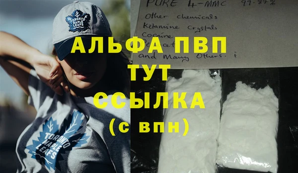 прущие грибы Нефтегорск