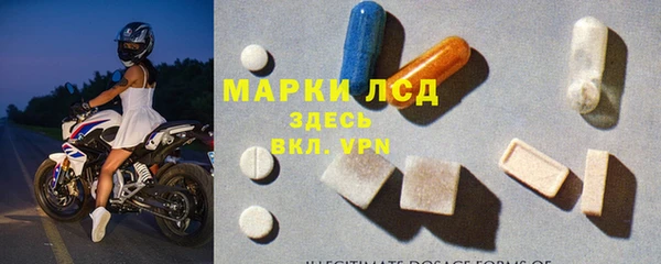 прущие грибы Нефтегорск