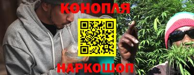 крисы Бийск