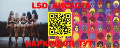 крисы Бийск