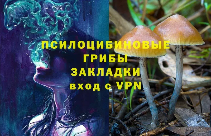 Псилоцибиновые грибы MAGIC MUSHROOMS  как найти закладки  Прокопьевск 