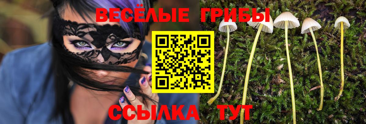 Псилоцибиновые грибы прущие грибы Прокопьевск