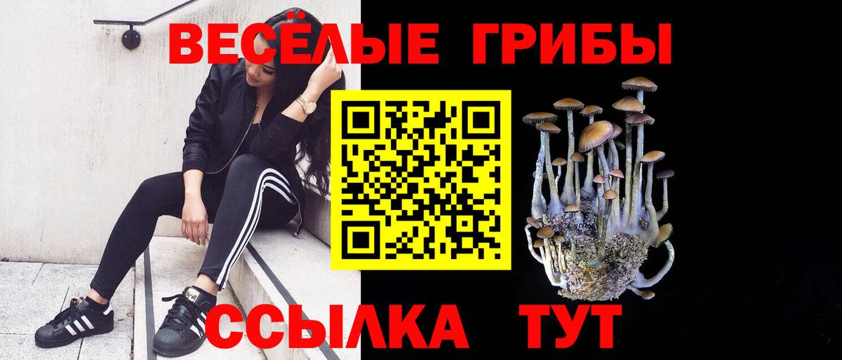 Прокопьевск  Галлюциногенные грибы Cubensis  Вход с VPN 