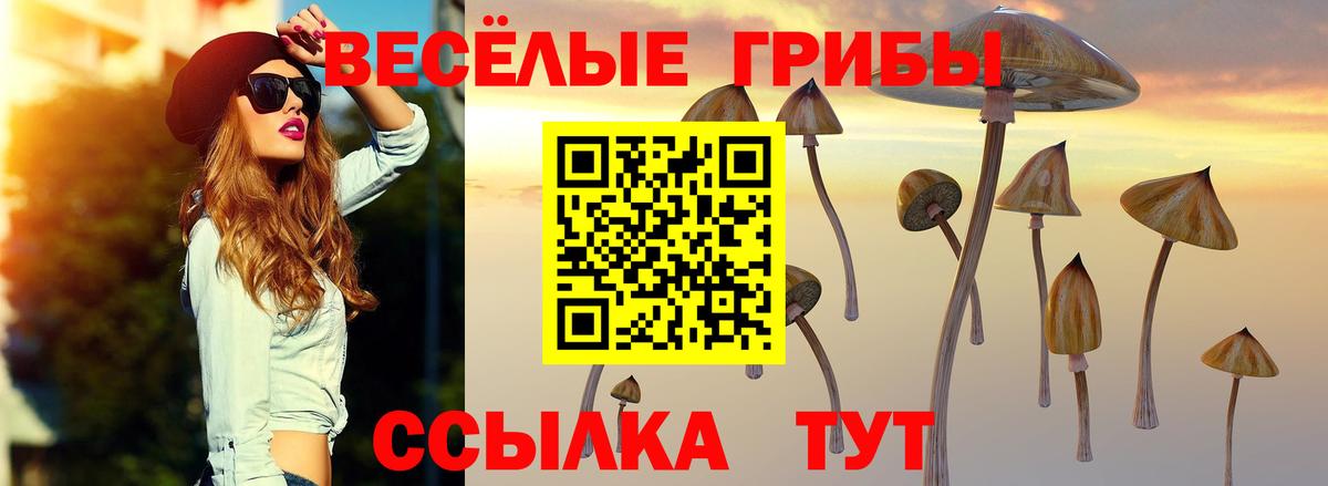 Псилоцибиновые грибы прущие грибы  купить закладку  Прокопьевск  Галлюциногенные грибы Cubensis 