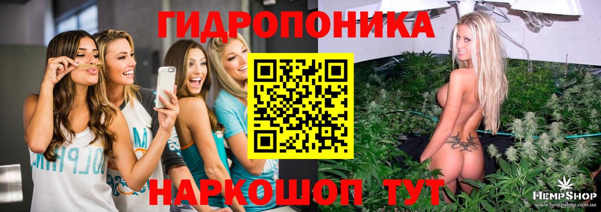 Марихуана White Widow  Бошки Шишки конопля  Прокопьевск  Вход с VPN 